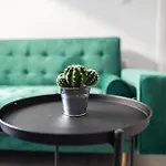 Cozy & Chic - 1 Bd Lejlighed