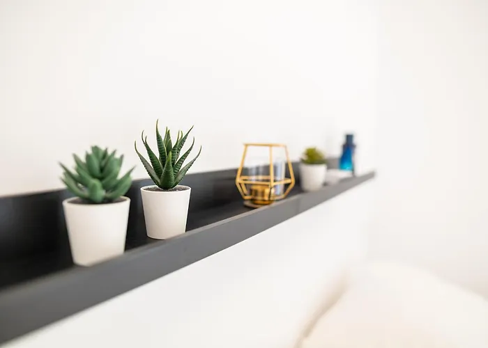 Cozy & Chic - 1 Bd Apartment Apartamento