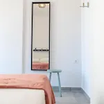 Cozy & Chic - 1 Bd