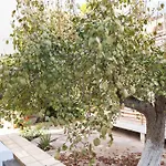 Апартаменты Cozy & Chic - 1 Bd