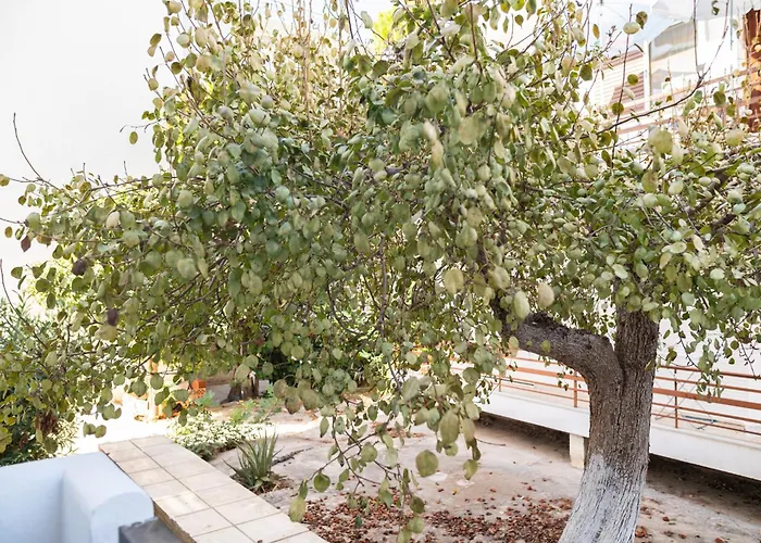 Appartamento Cozy & Chic - 1 Bd Apartment